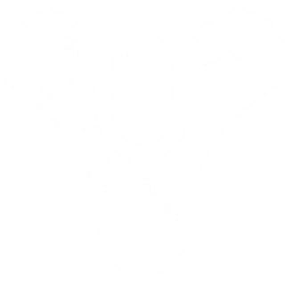 Destiny